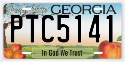 GA license plate PTC5141