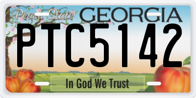 GA license plate PTC5142