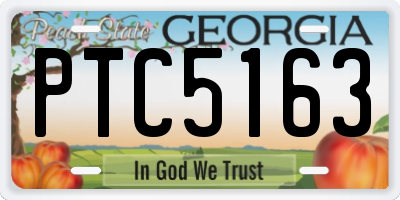 GA license plate PTC5163