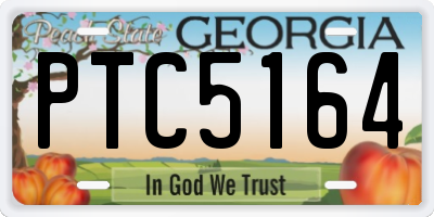 GA license plate PTC5164