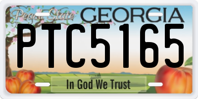 GA license plate PTC5165
