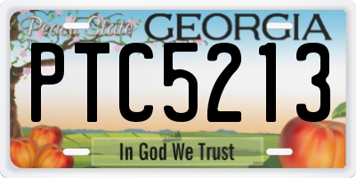 GA license plate PTC5213
