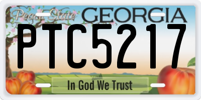 GA license plate PTC5217