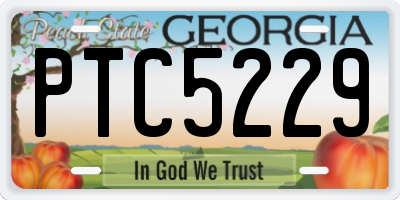 GA license plate PTC5229