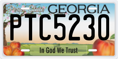 GA license plate PTC5230
