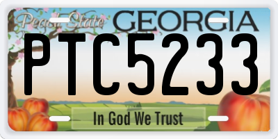 GA license plate PTC5233