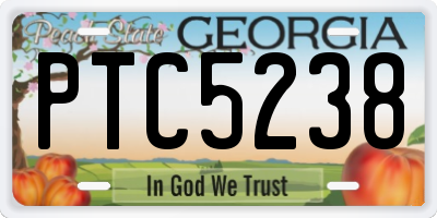 GA license plate PTC5238