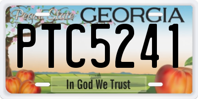GA license plate PTC5241
