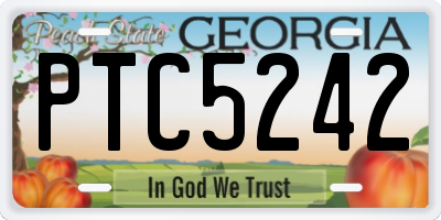 GA license plate PTC5242