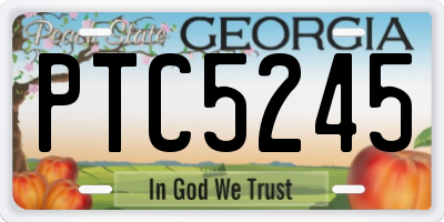 GA license plate PTC5245