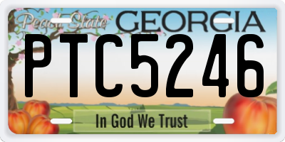 GA license plate PTC5246