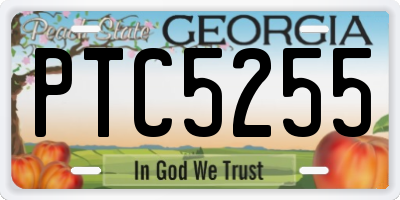 GA license plate PTC5255