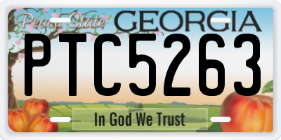 GA license plate PTC5263