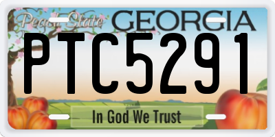GA license plate PTC5291