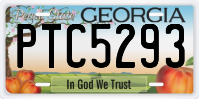 GA license plate PTC5293