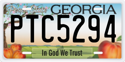 GA license plate PTC5294