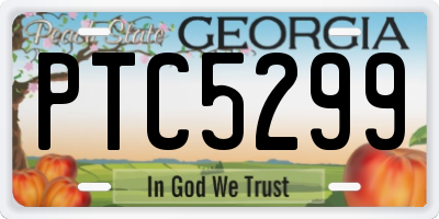 GA license plate PTC5299