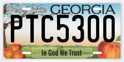 GA license plate PTC5300