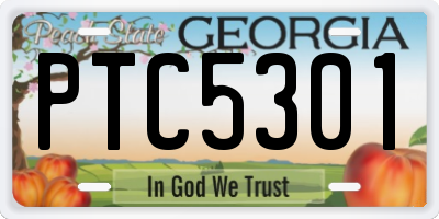 GA license plate PTC5301