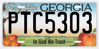 GA license plate PTC5303
