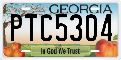 GA license plate PTC5304