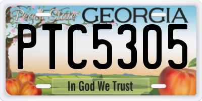 GA license plate PTC5305