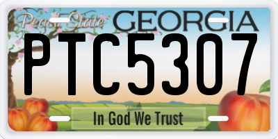 GA license plate PTC5307