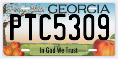 GA license plate PTC5309