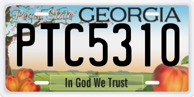 GA license plate PTC5310