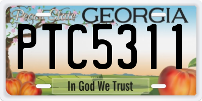 GA license plate PTC5311