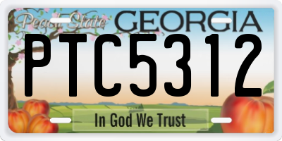 GA license plate PTC5312