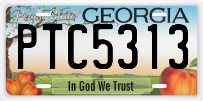 GA license plate PTC5313