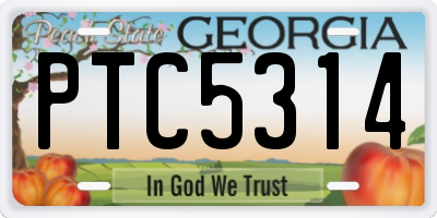 GA license plate PTC5314