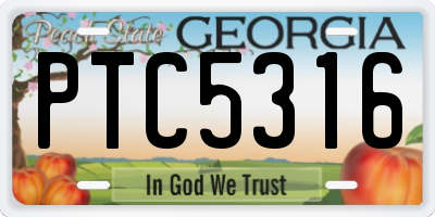 GA license plate PTC5316