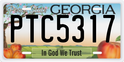GA license plate PTC5317