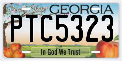 GA license plate PTC5323
