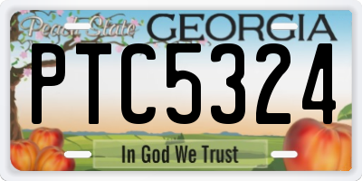 GA license plate PTC5324