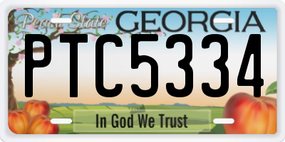 GA license plate PTC5334