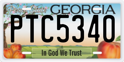 GA license plate PTC5340