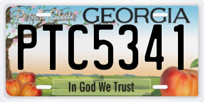 GA license plate PTC5341