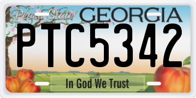 GA license plate PTC5342