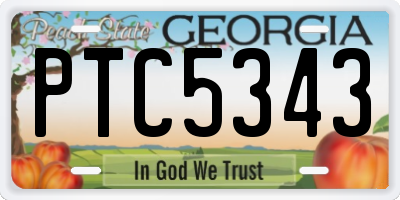 GA license plate PTC5343