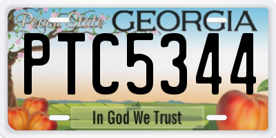 GA license plate PTC5344