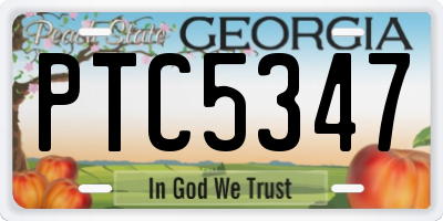 GA license plate PTC5347