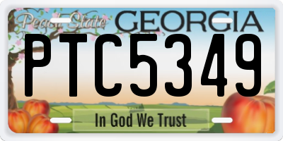 GA license plate PTC5349