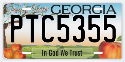 GA license plate PTC5355