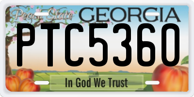 GA license plate PTC5360
