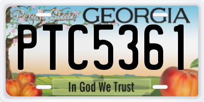 GA license plate PTC5361