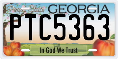 GA license plate PTC5363