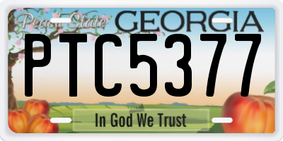 GA license plate PTC5377